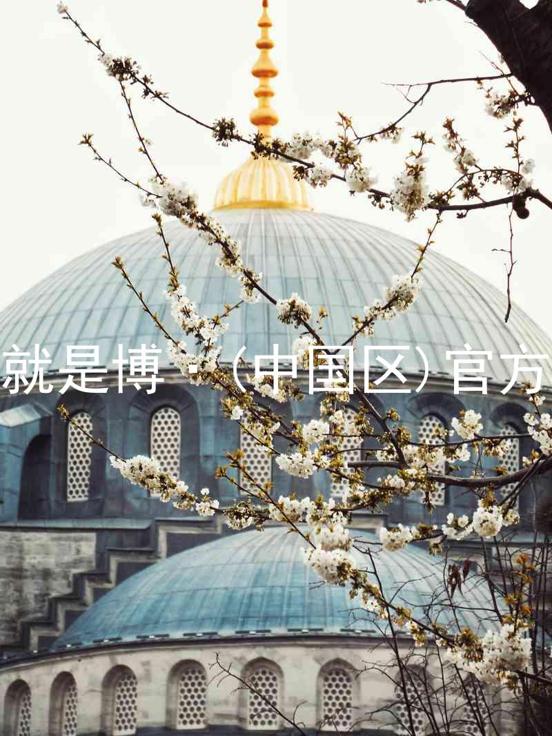 人生就是博·(中国区)官方网站